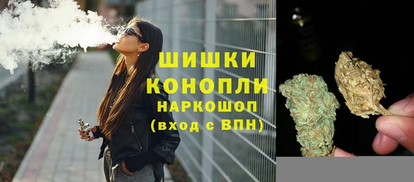 spice Козловка