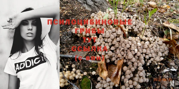 герыч Карпинск